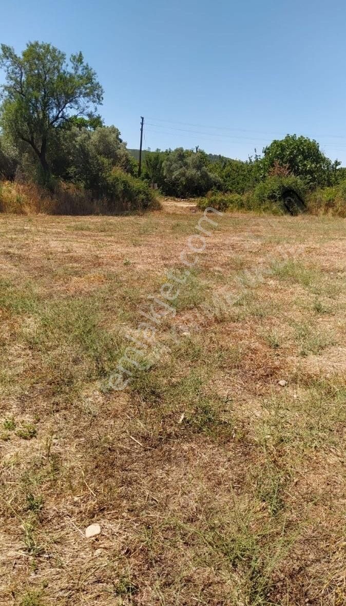 Muğla Ula Köprübaşında Satılık 3878 M² Tarla - Görsel 27