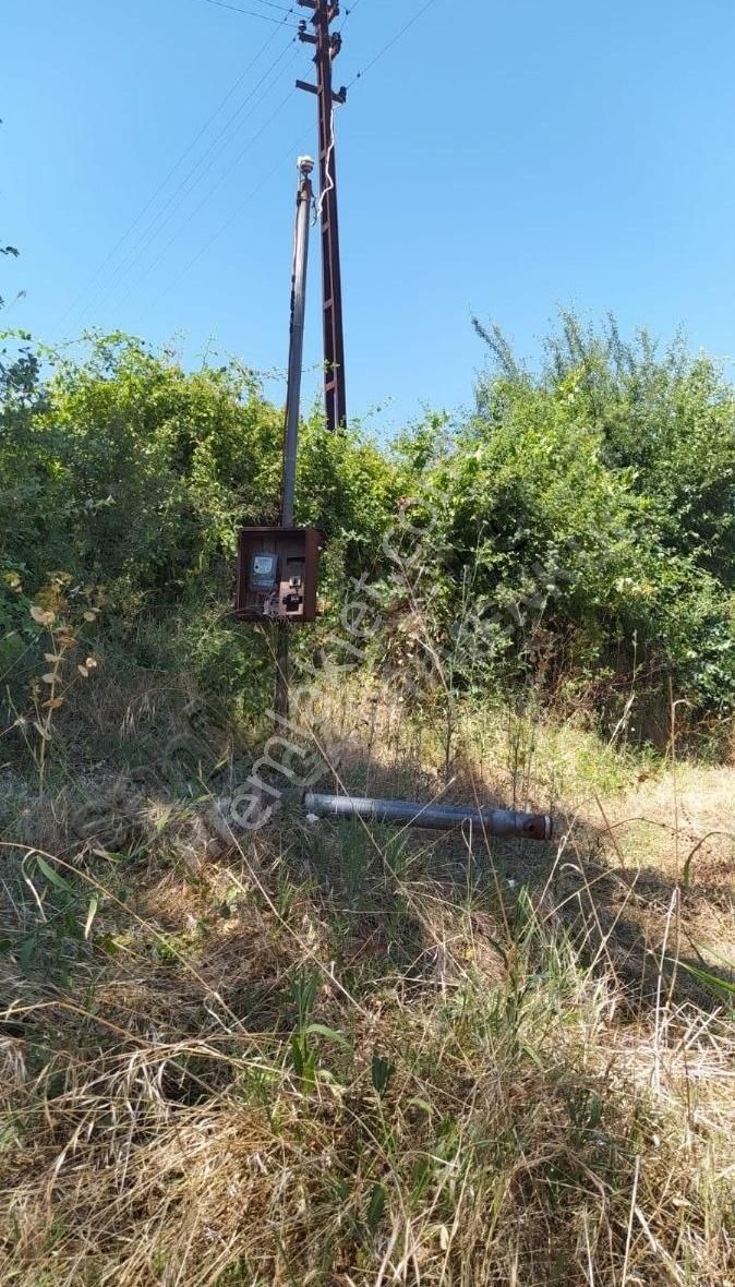 Muğla Ula Köprübaşında Satılık 3878 M² Tarla - Görsel 17