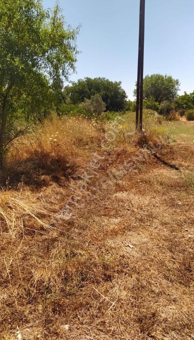 Muğla Ula Köprübaşında Satılık 3878 M² Tarla - Görsel 20