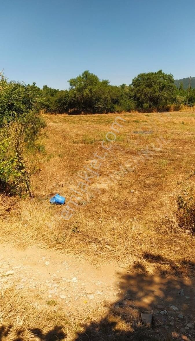 Muğla Ula Köprübaşında Satılık 3878 M² Tarla - Görsel 13