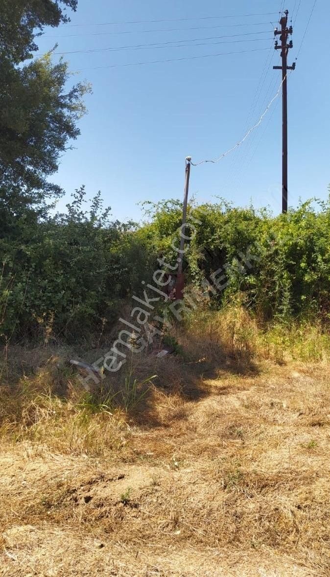 Muğla Ula Köprübaşında Satılık 3878 M² Tarla - Görsel 10