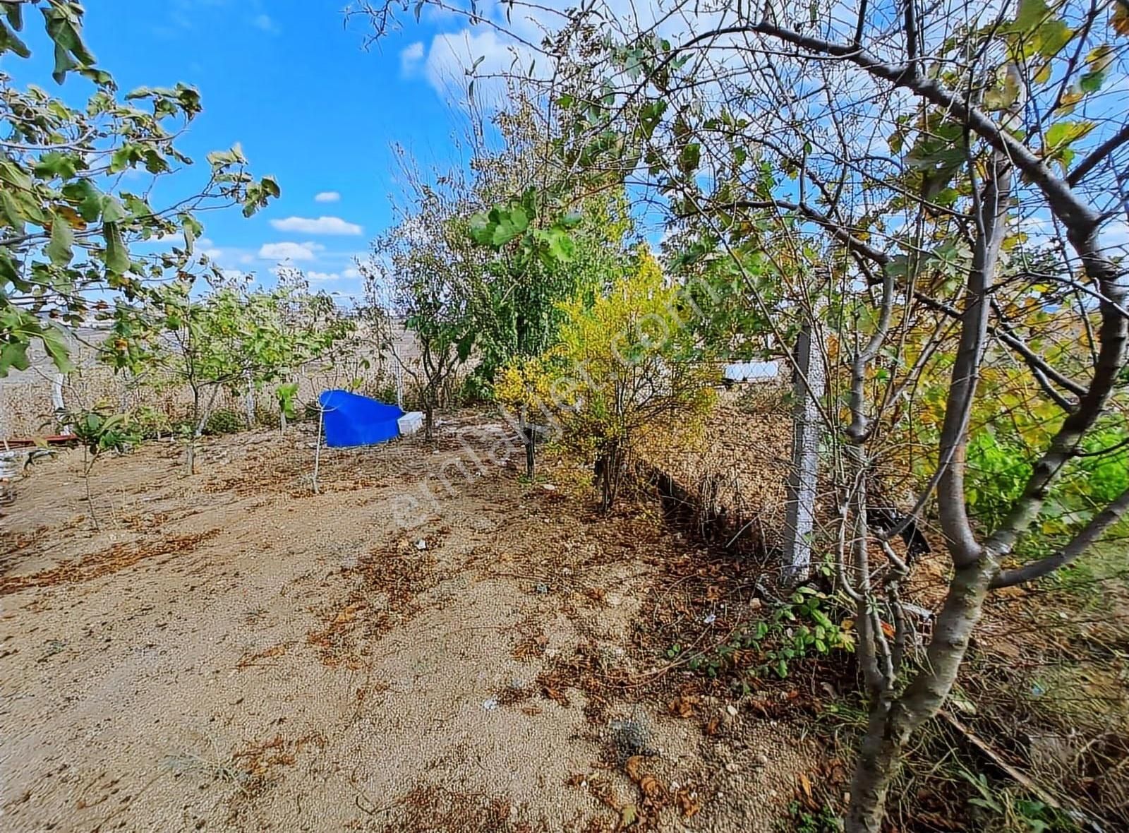 İnançtan Arnavutköy Haracciten Satılık Arsa - Görsel 17