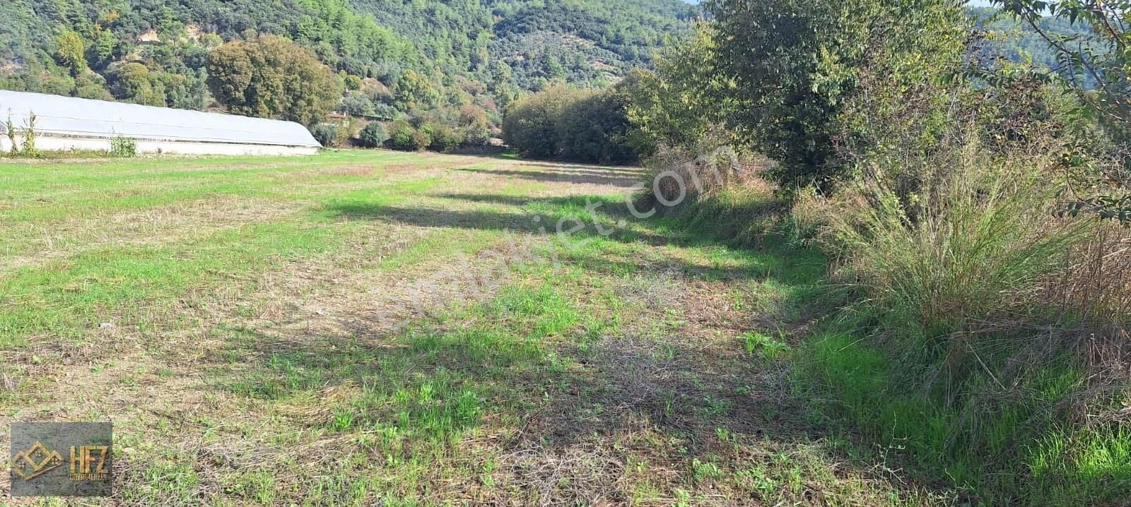 Ula-elmalı Mahallesinde 5604 M2 Satılık Tarla - Görsel 2