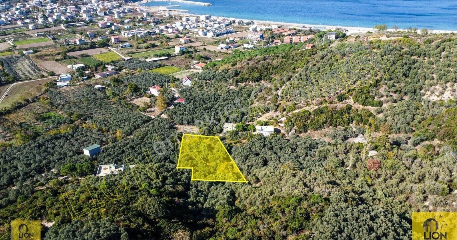 🟨⬛lıon Emlak'tan Erdek Turan Mahallesi Yatırımlık 1361m² Satılık Zeytinlik⬛🟨 - Görsel 17