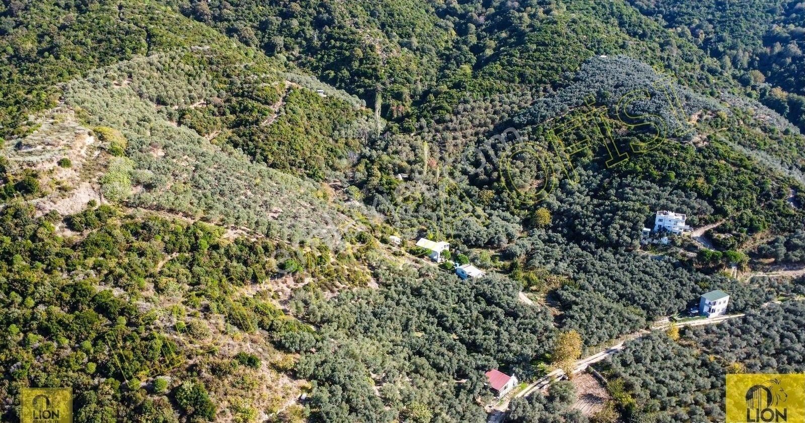 🟨⬛lıon Emlak'tan Erdek Turan Mahallesi Yatırımlık 1361m² Satılık Zeytinlik⬛🟨 - Görsel 20