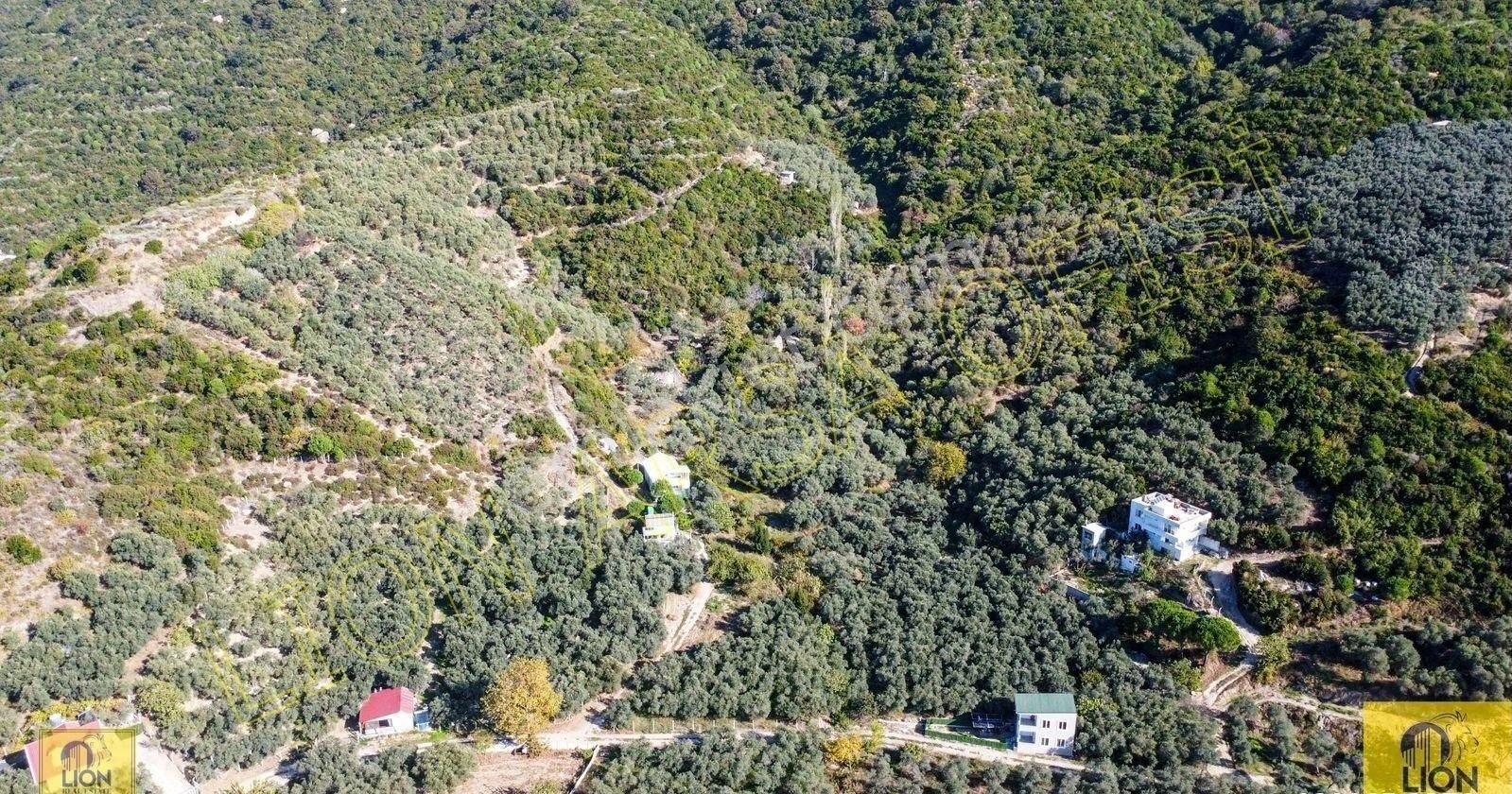 🟨⬛lıon Emlak'tan Erdek Turan Mahallesi Yatırımlık 1361m² Satılık Zeytinlik⬛🟨 - Görsel 13