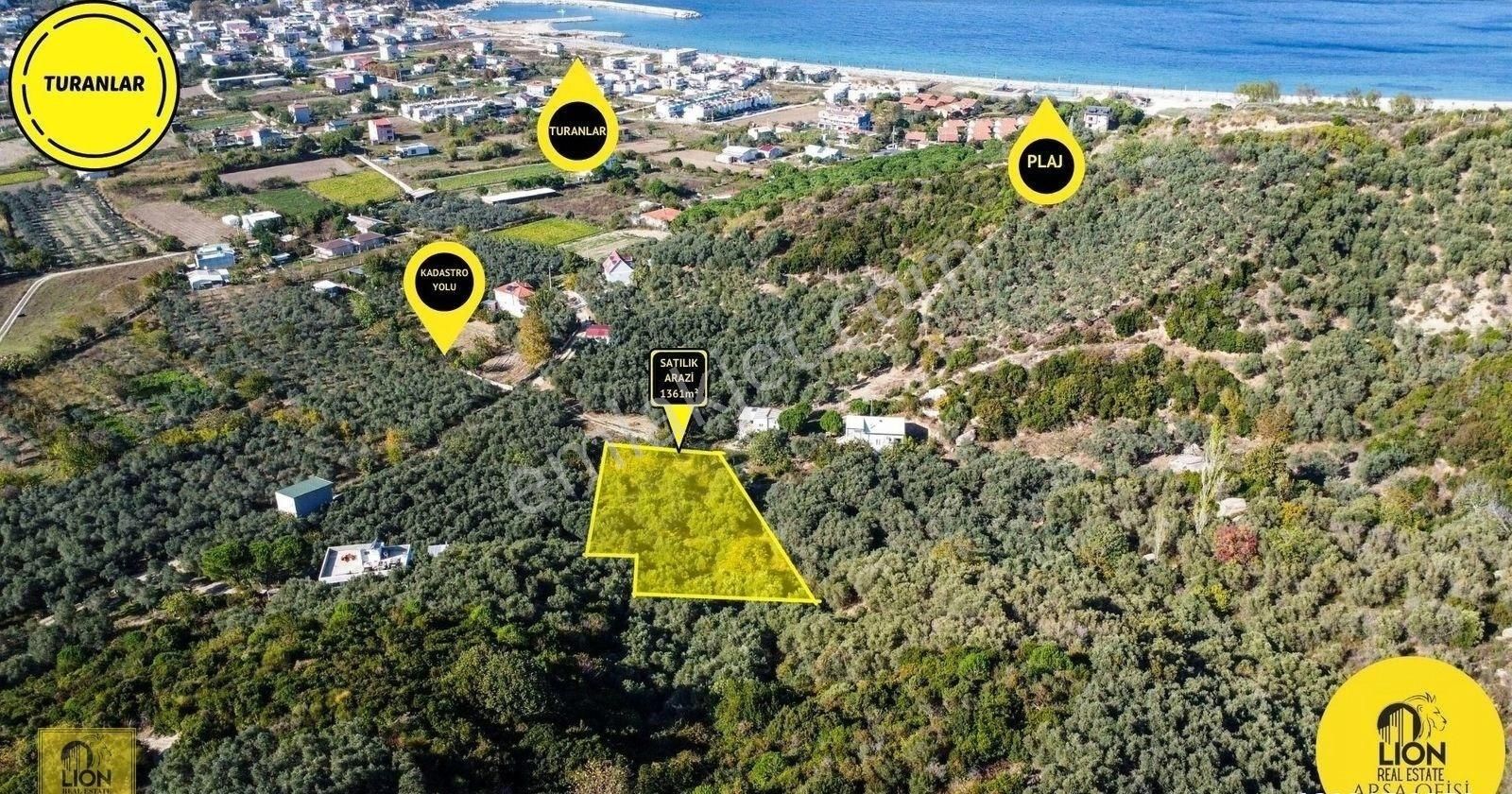 🟨⬛lıon Emlak'tan Erdek Turan Mahallesi Yatırımlık 1361m² Satılık Zeytinlik⬛🟨