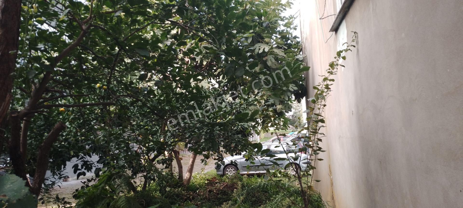 Trabzon Pelitlıde Satılıkbahçeli 2 Katlı Ev - Görsel 26