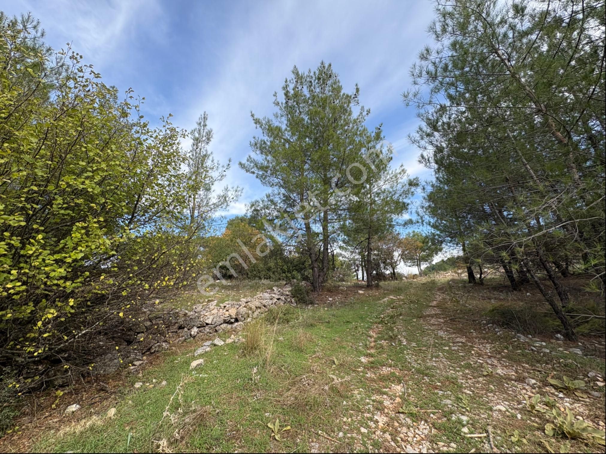 Muğla Menteşe Denizova Mah. Satılık 2.961 M2 Tarla - Görsel 2