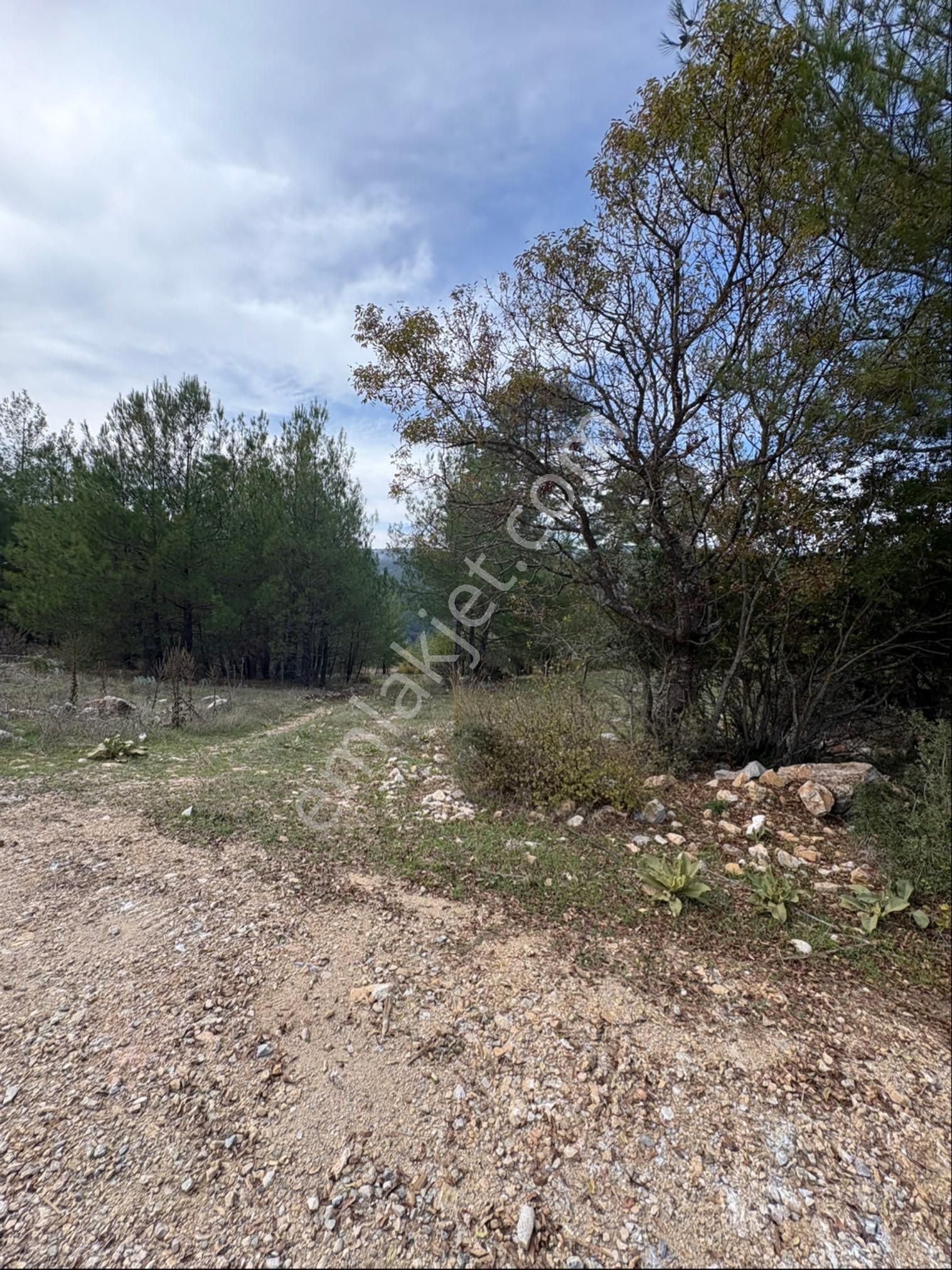 Muğla Menteşe Denizova Mah. Satılık 2.961 M2 Tarla - Görsel 21