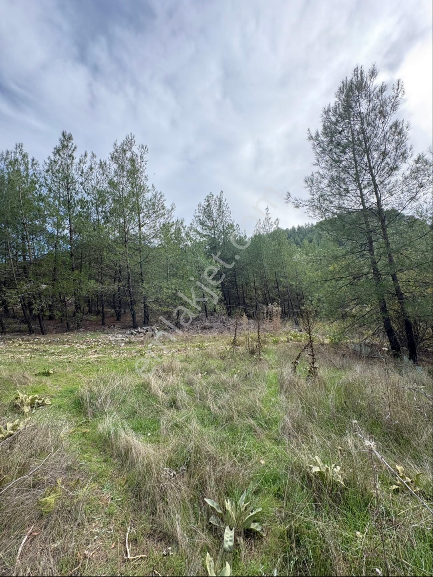 Muğla Menteşe Denizova Mah. Satılık 2.961 M2 Tarla - Görsel 10