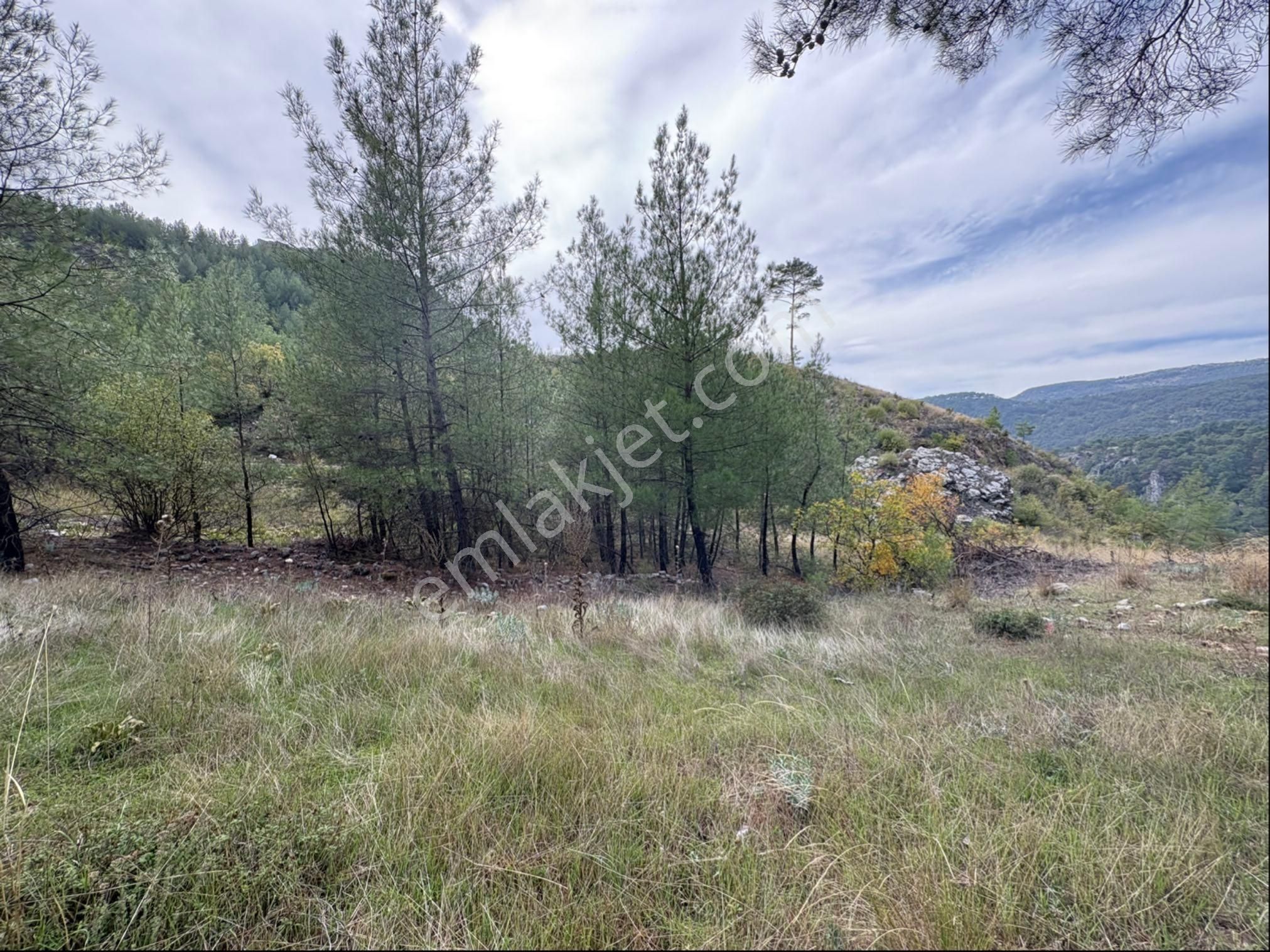 Muğla Menteşe Denizova Mah. Satılık 2.961 M2 Tarla - Görsel 7