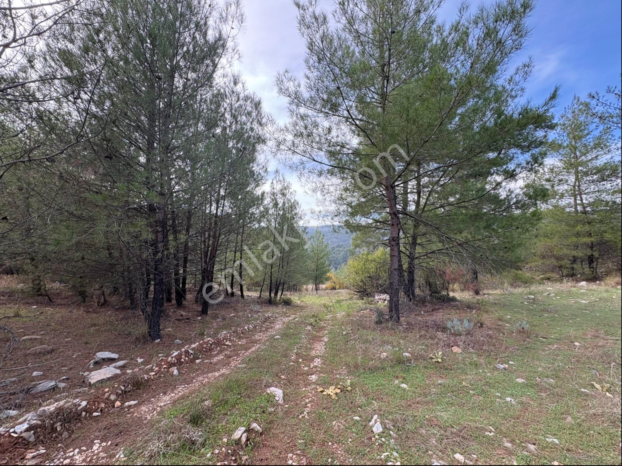 Muğla Menteşe Denizova Mah. Satılık 2.961 M2 Tarla - Görsel 8