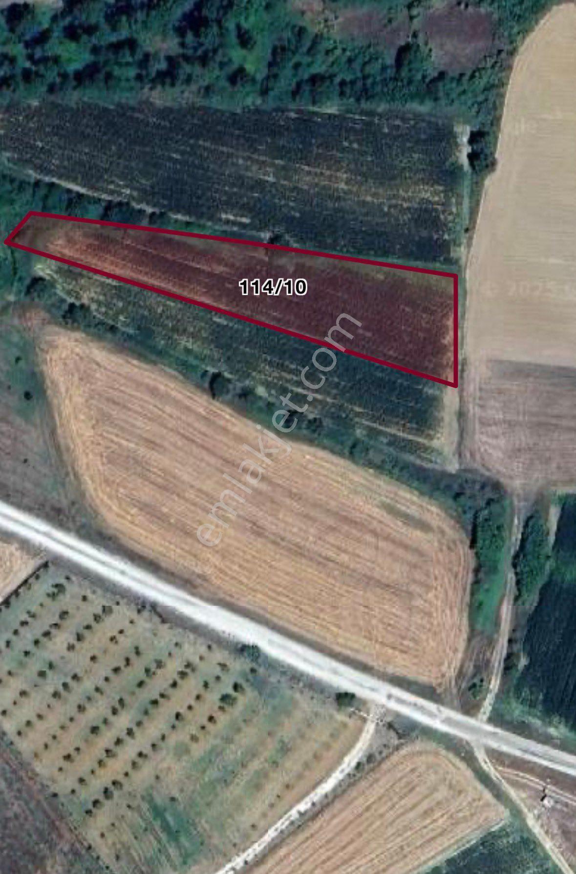 Sahibinden Aramağanda Satılık Tarla - Görsel 3
