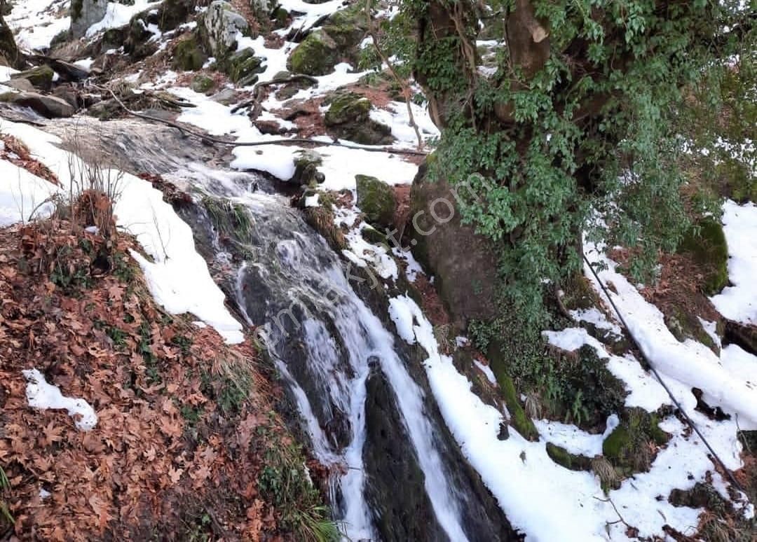 Manço Dan Kaz Dağlarında 6272 M2 İçinde Gizli Cennet Hobi Bahçesi Satılık - Görsel 27