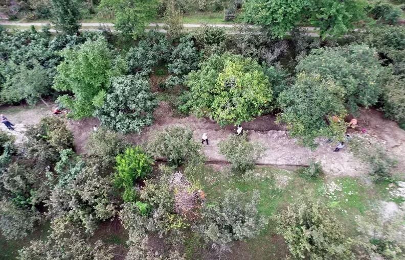 Köy İçi Kocaali Kirazlı Mah. Satılık Fındık Bahçesi - Görsel 6