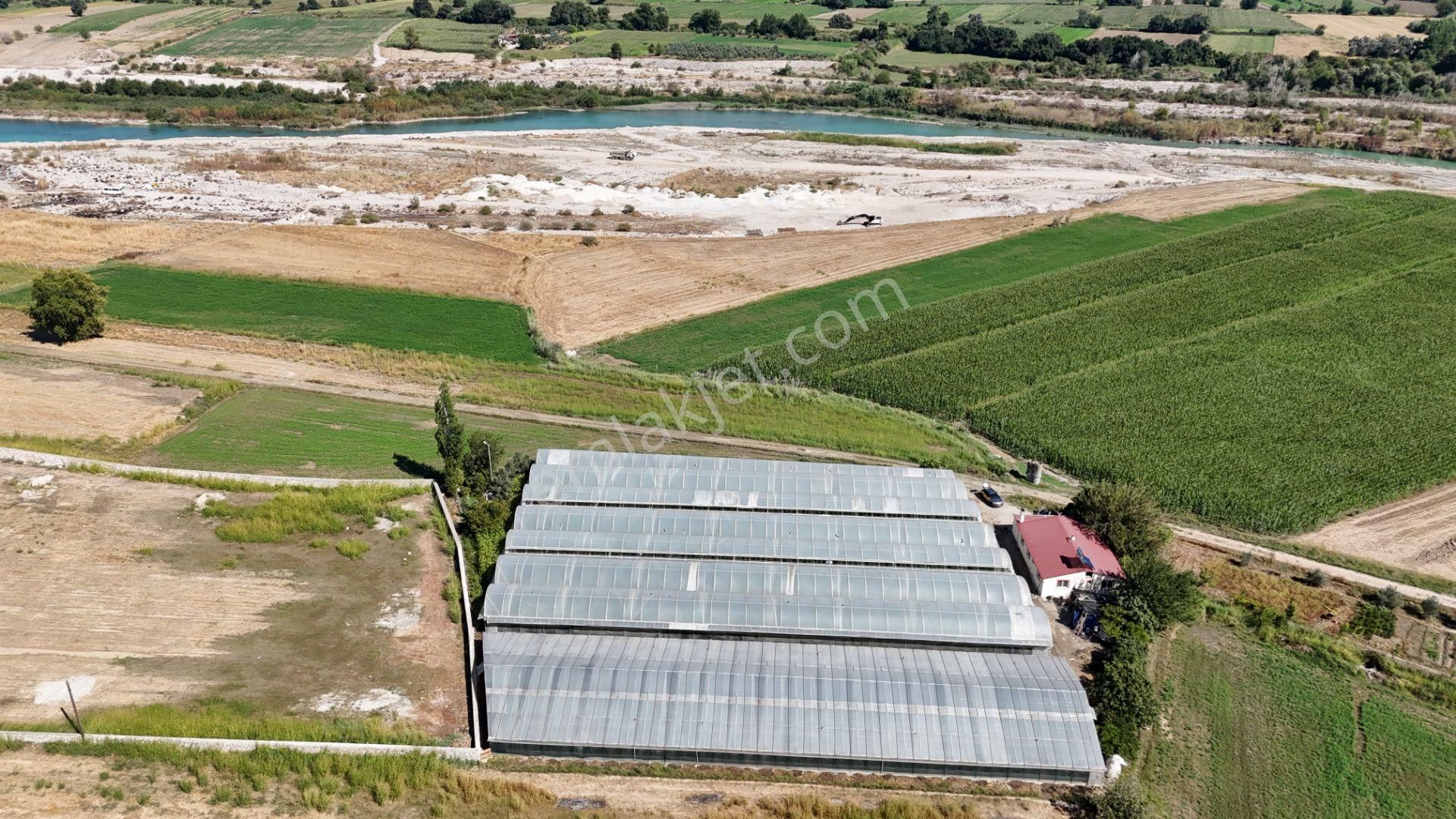 Goldhouse Dan Satılık Yatırımlık Tarla Ve 4+1 Müstakil Ev - Görsel 12