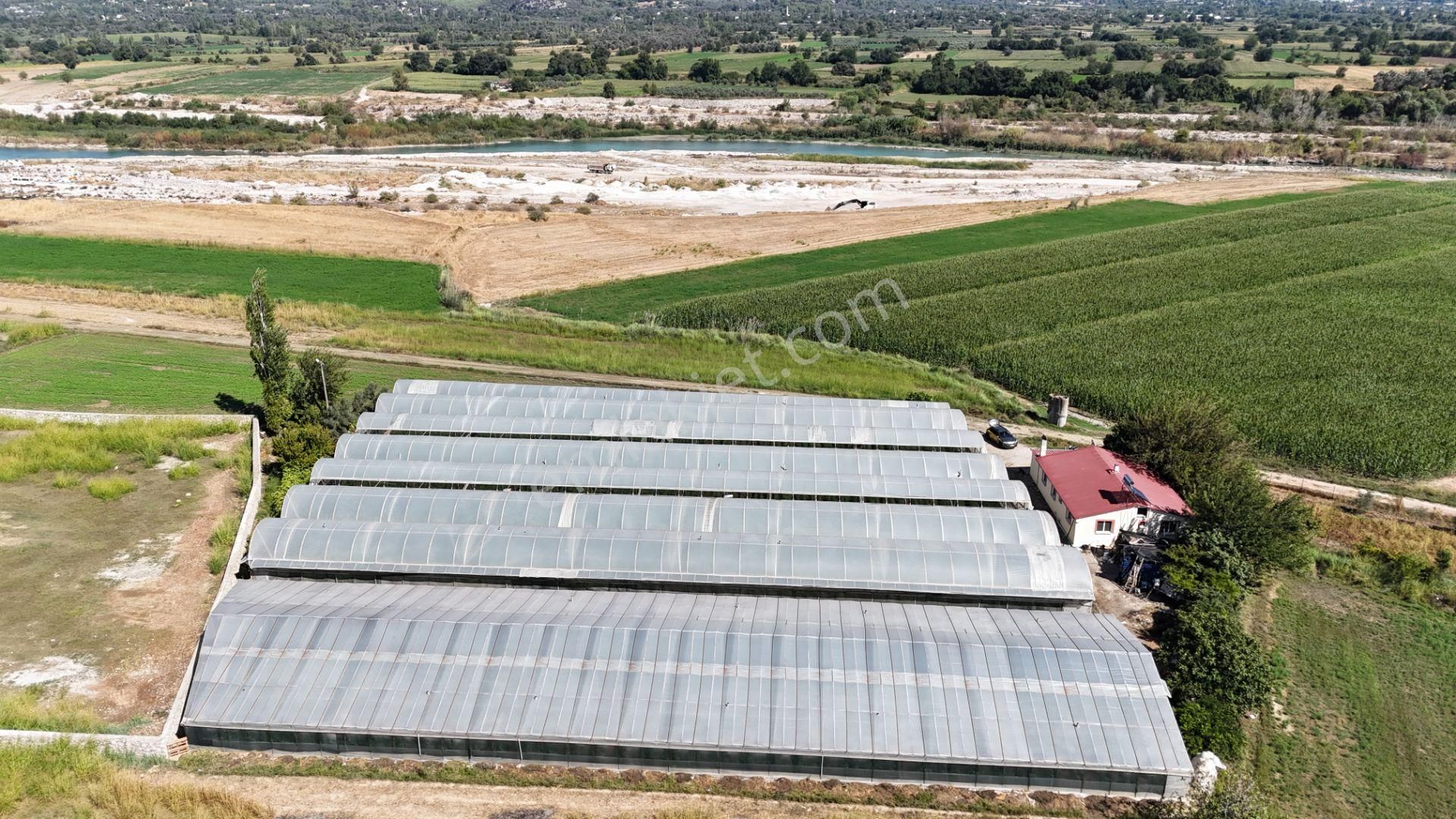Goldhouse Dan Satılık Yatırımlık Tarla Ve 4+1 Müstakil Ev - Görsel 10