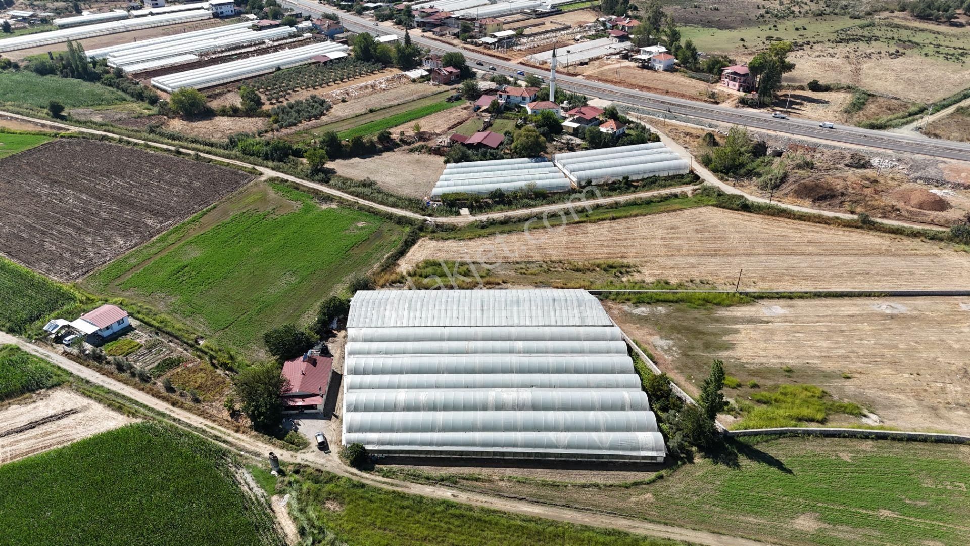 Goldhouse Dan Satılık Yatırımlık Tarla Ve 4+1 Müstakil Ev - Görsel 3