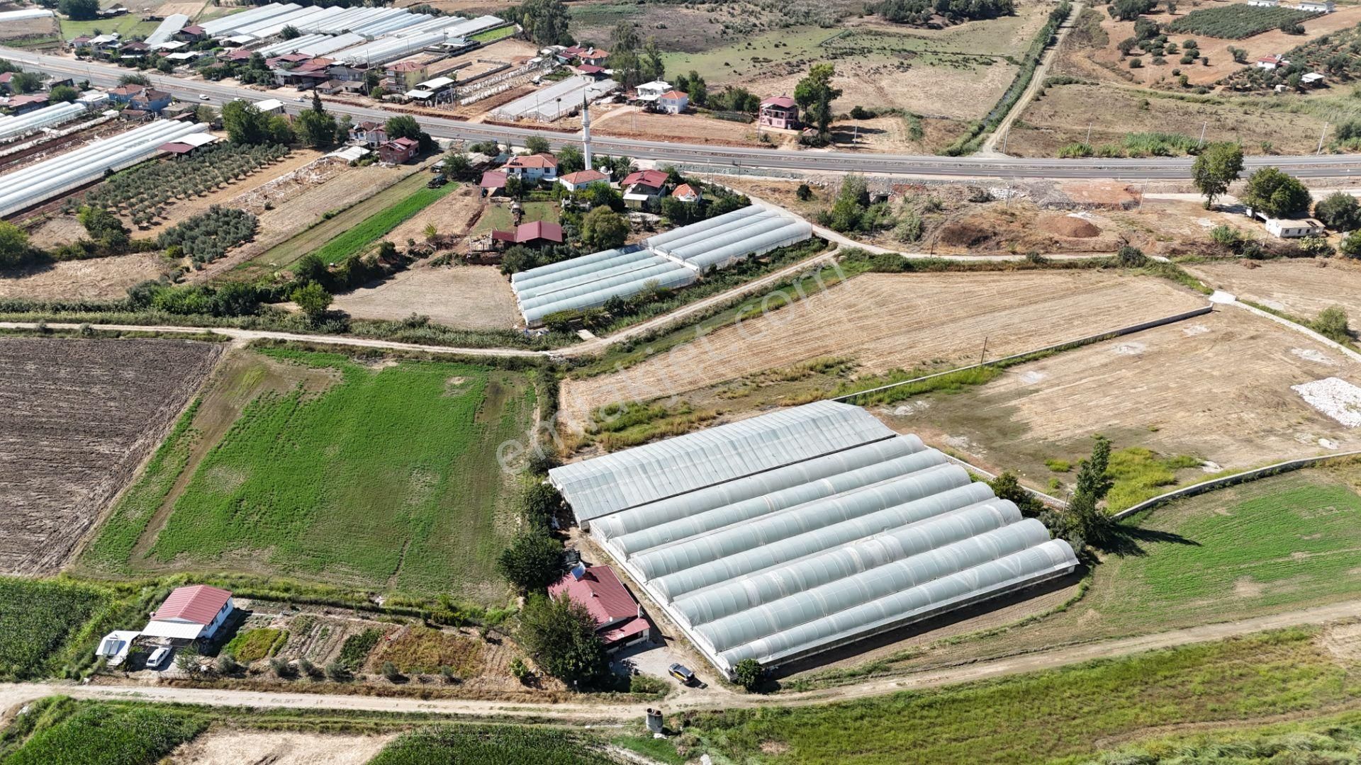 Goldhouse Dan Satılık Yatırımlık Tarla Ve 4+1 Müstakil Ev - Görsel 2