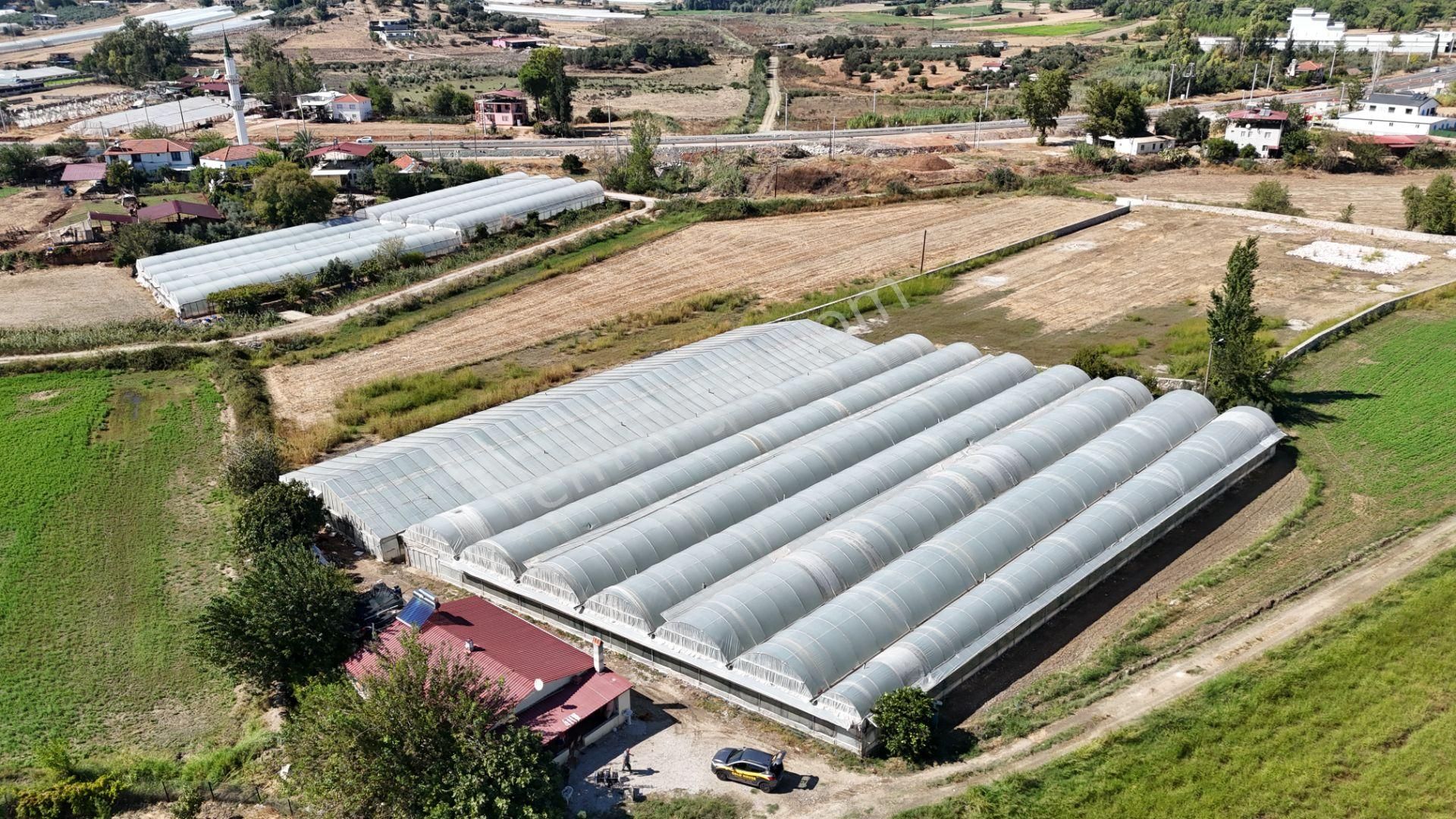 Goldhouse Dan Satılık Yatırımlık Tarla Ve 4+1 Müstakil Ev - Görsel 7