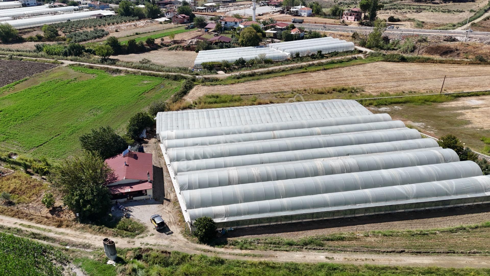 Goldhouse Dan Satılık Yatırımlık Tarla Ve 4+1 Müstakil Ev - Görsel 6