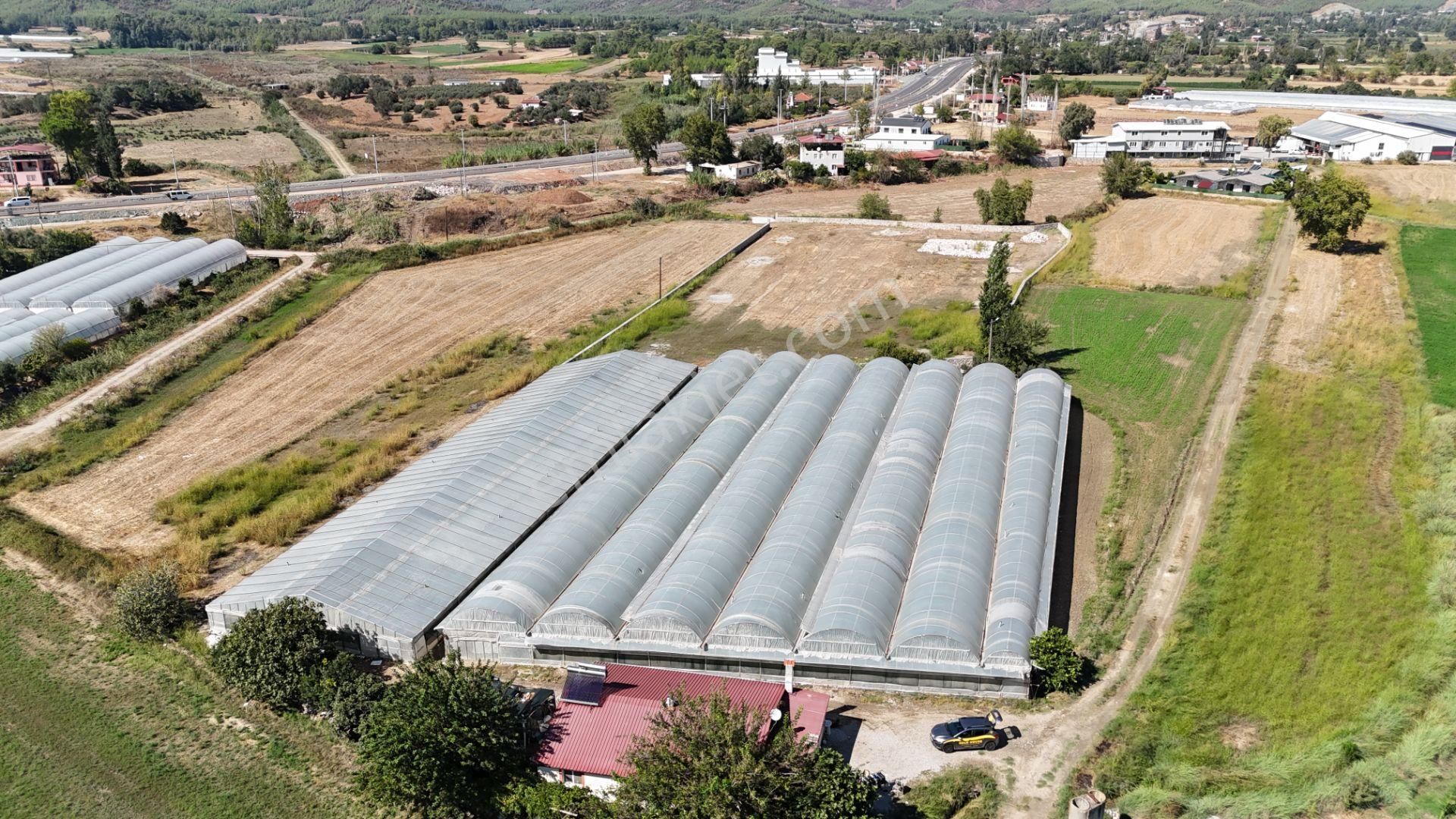 Goldhouse Dan Satılık Yatırımlık Tarla Ve 4+1 Müstakil Ev - Görsel 8