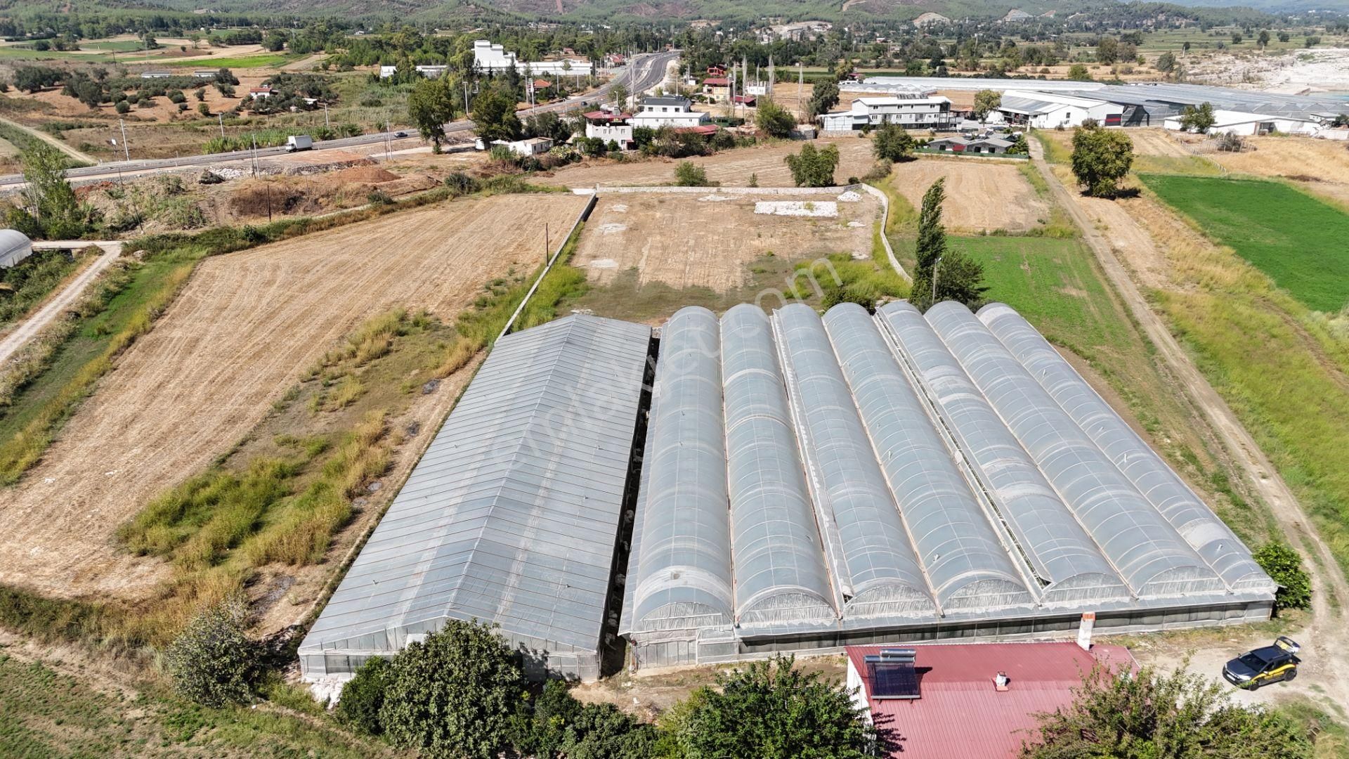 Goldhouse Dan Satılık Yatırımlık Tarla Ve 4+1 Müstakil Ev - Görsel 4