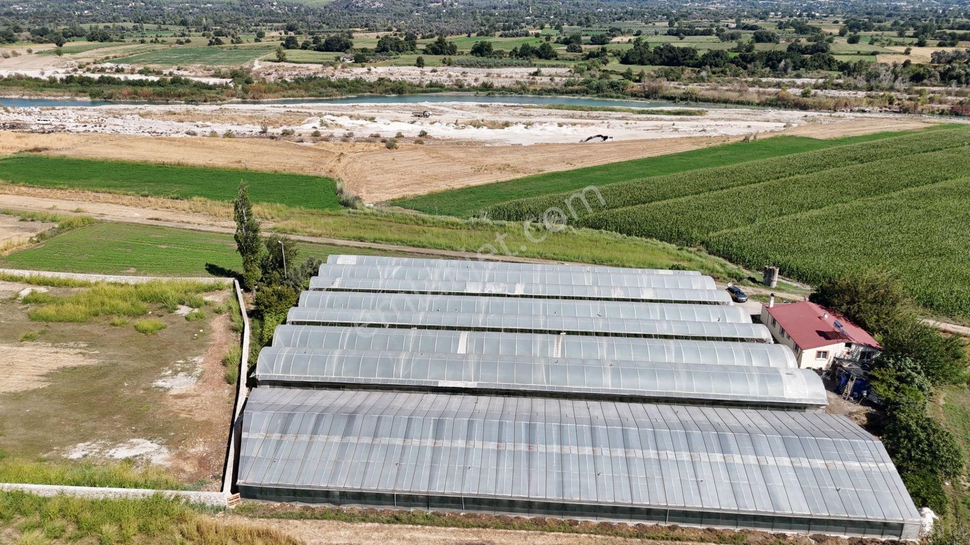 Goldhouse Dan Satılık Yatırımlık Tarla Ve 4+1 Müstakil Ev - Görsel 11