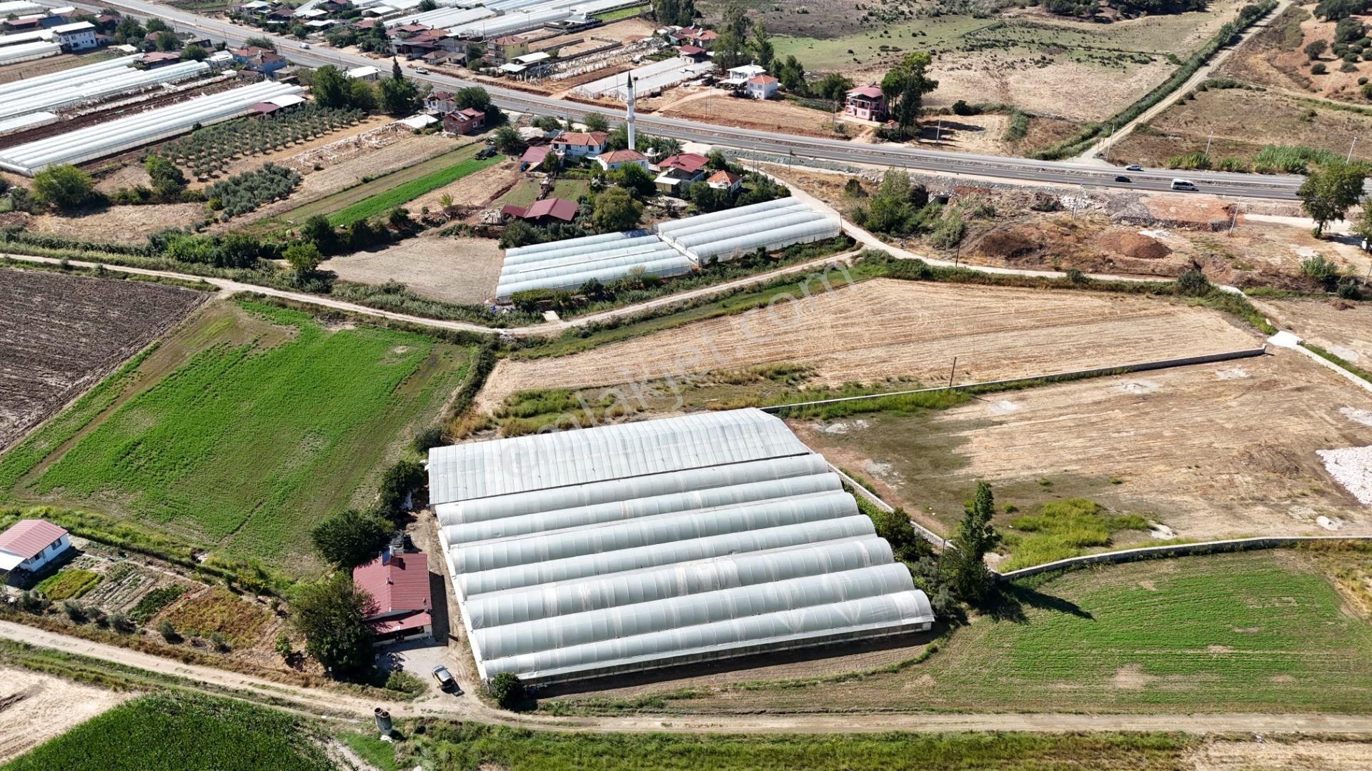 Goldhouse Dan Satılık Yatırımlık Tarla Ve 4+1 Müstakil Ev - Görsel 13