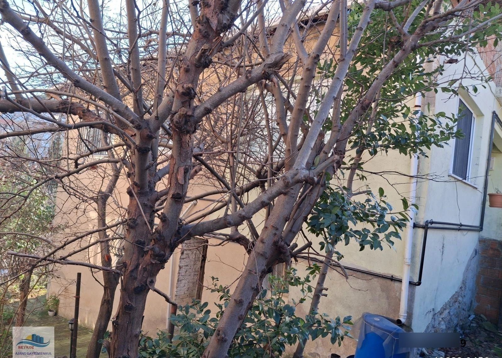 İncirköy De Satılık Müstakil Ev - Görsel 9