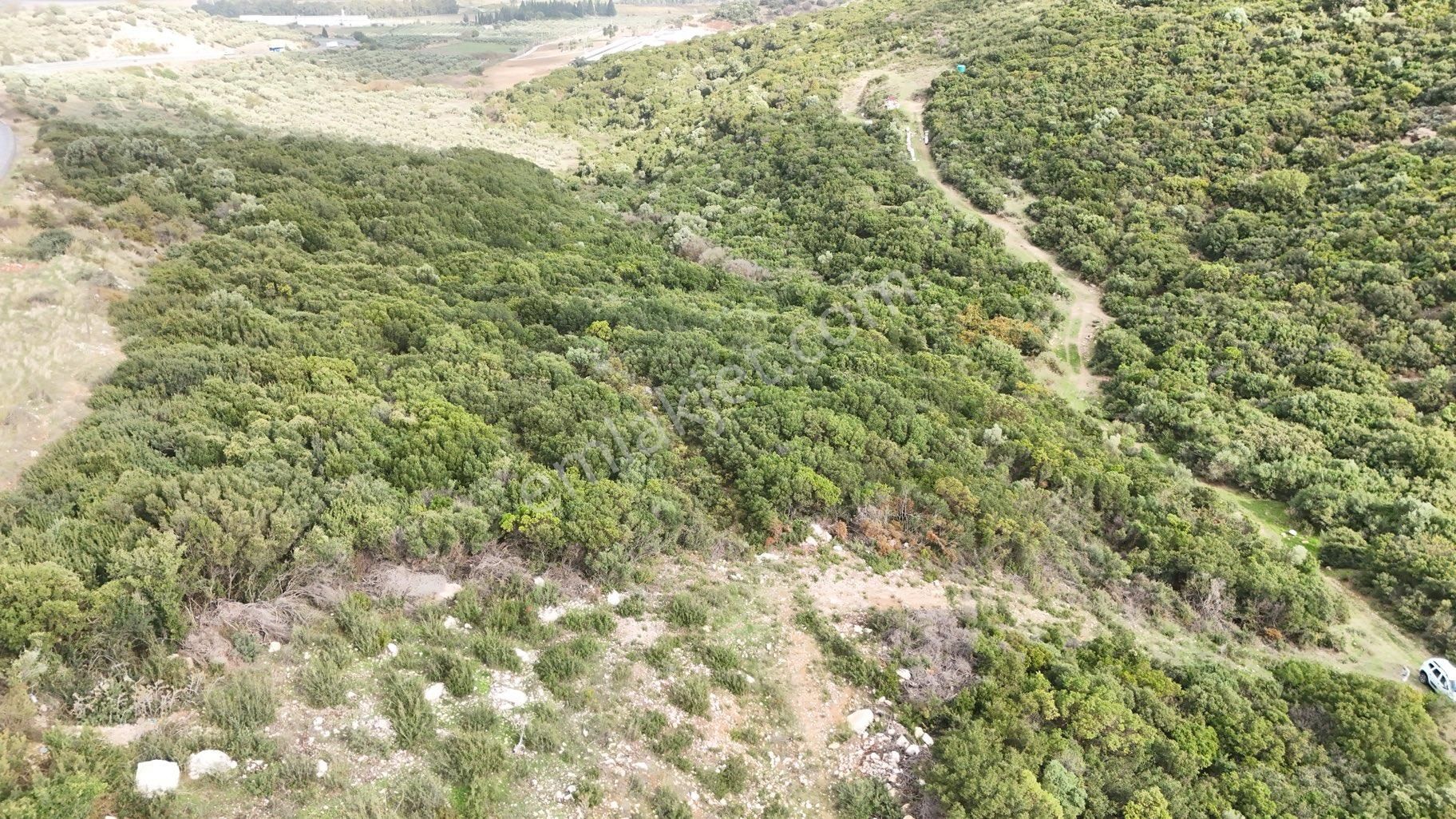 Didim Bozsekide Satılık Kelepir Arsa - Görsel 9