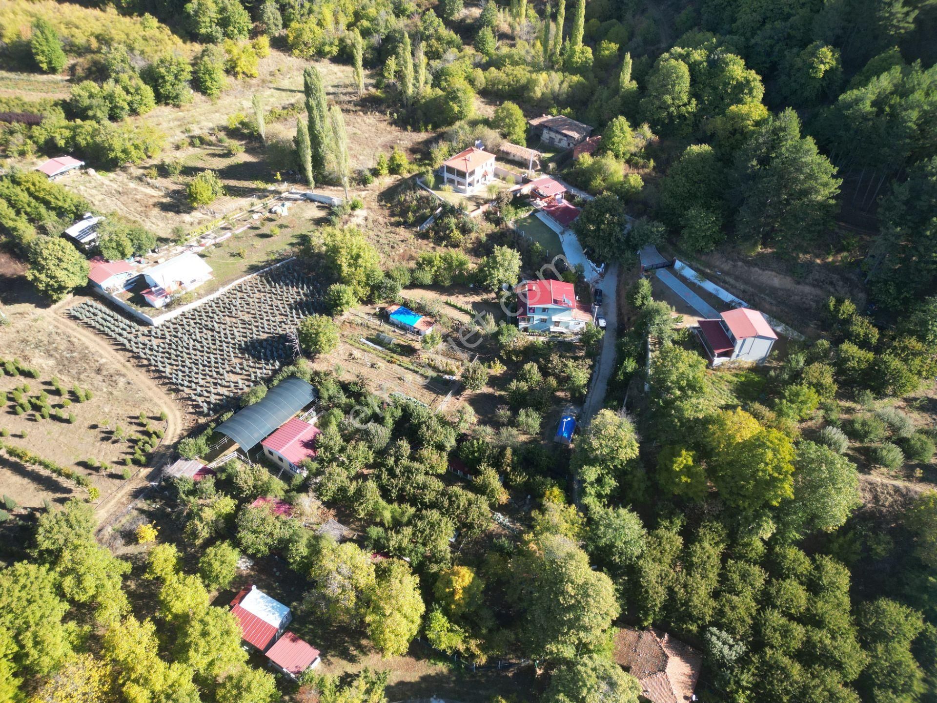 Antika Gayrimenkul'den Gölcük'de Satılık Müstakil Ev - Görsel 15