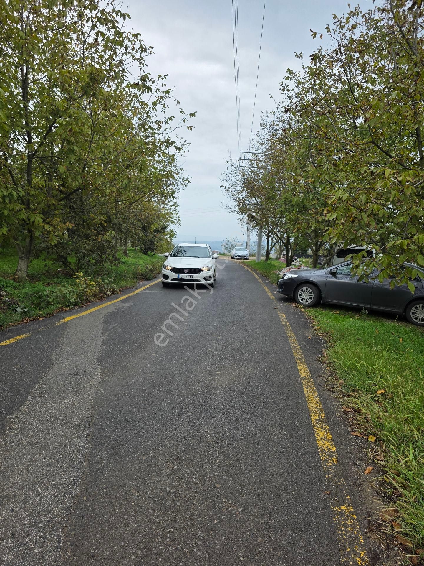 Goldlıfe Gayrimenkulden Çubuklu Köyünde Arazi - Görsel 6