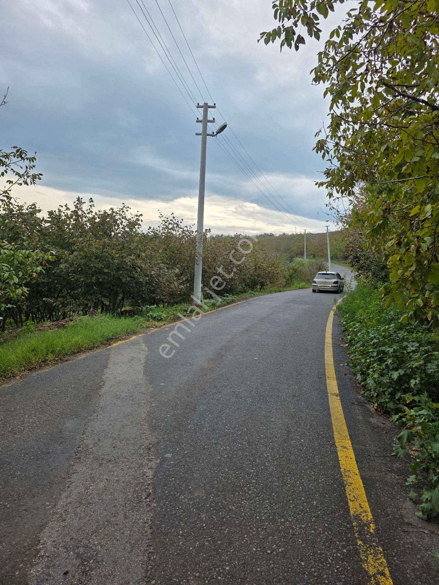 Goldlıfe Gayrimenkulden Çubuklu Köyünde Arazi