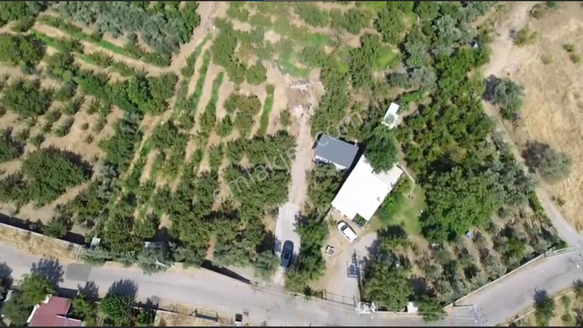 Ev Ve Müstakil Tapulu Erik Bahçesi - Görsel 3