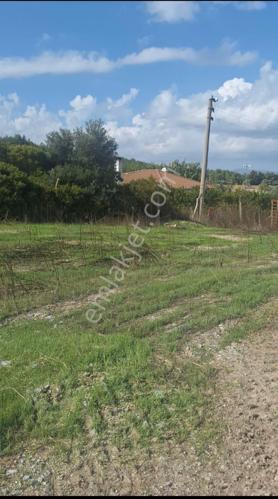 Urla Kuşçular Da Merkezi Konumda 10 Dönüm Yatırımlık Tarla - Görsel 7