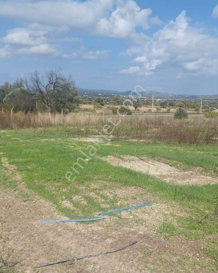 Urla Kuşçular Da Merkezi Konumda 10 Dönüm Yatırımlık Tarla - Görsel 4