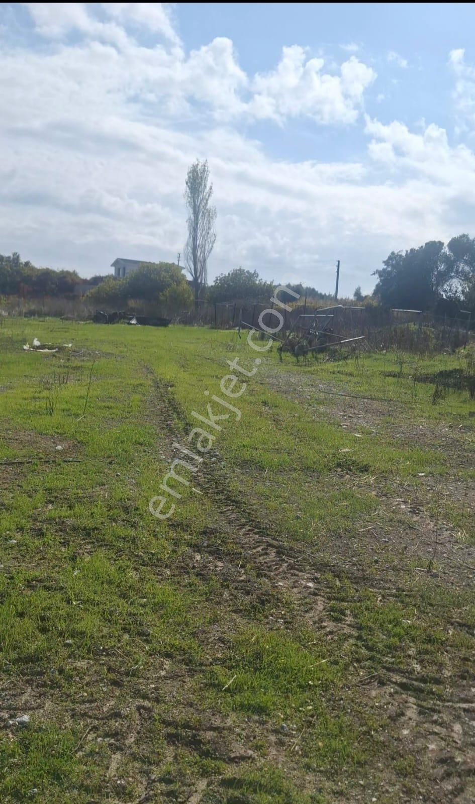 Urla Kuşçular Da Merkezi Konumda 10 Dönüm Yatırımlık Tarla - Görsel 6