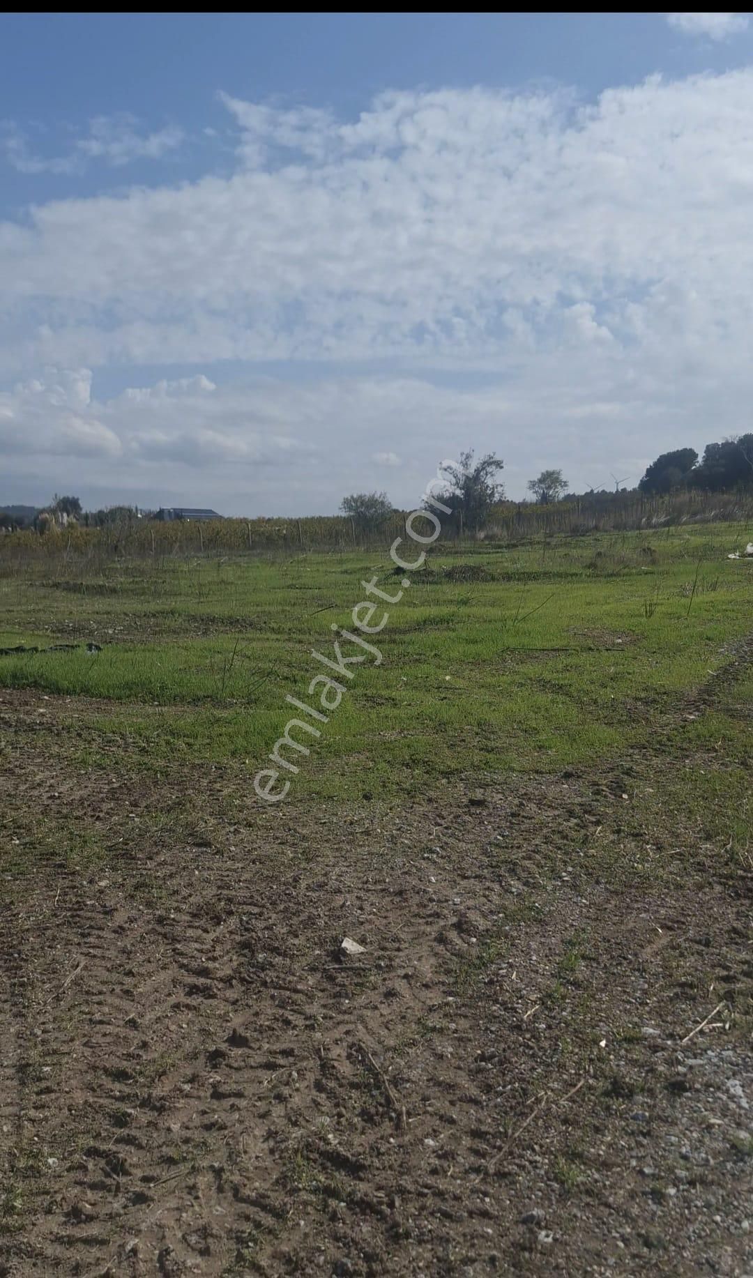 Urla Kuşçular Da Merkezi Konumda 10 Dönüm Yatırımlık Tarla - Görsel 5