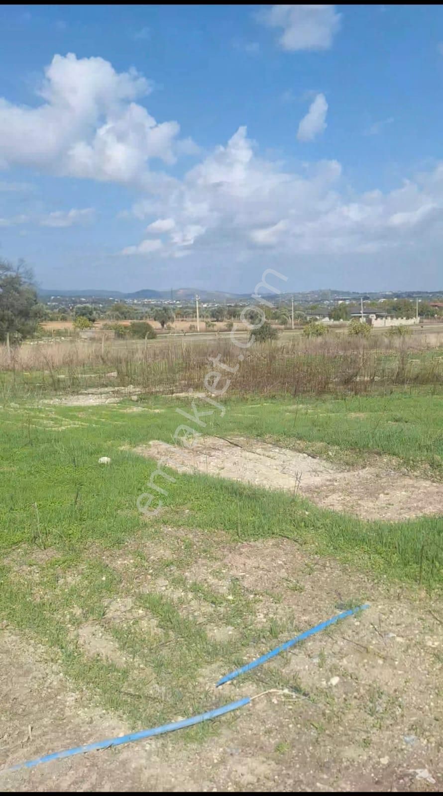 Urla Kuşçular Da Merkezi Konumda 10 Dönüm Yatırımlık Tarla - Görsel 3