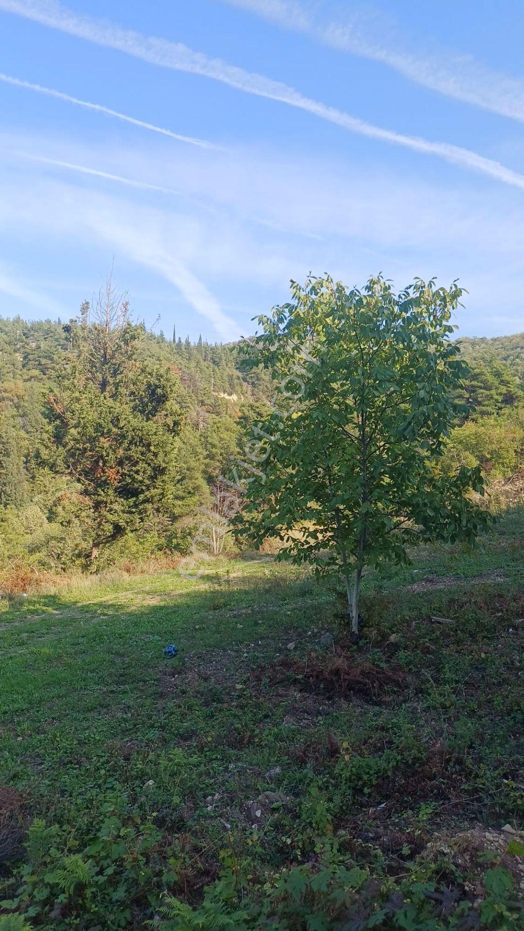 Kocaeli Gölcük Ulaşlıda,deniz Manzaralı,müstakil Tapulu, Satılık Arazi - Görsel 7
