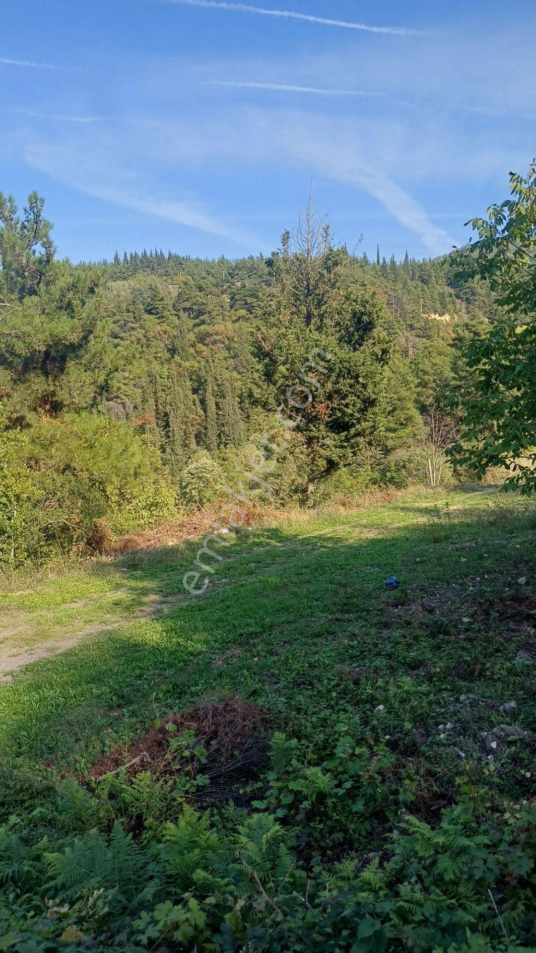 Kocaeli Gölcük Ulaşlıda,deniz Manzaralı,müstakil Tapulu, Satılık Arazi - Görsel 19