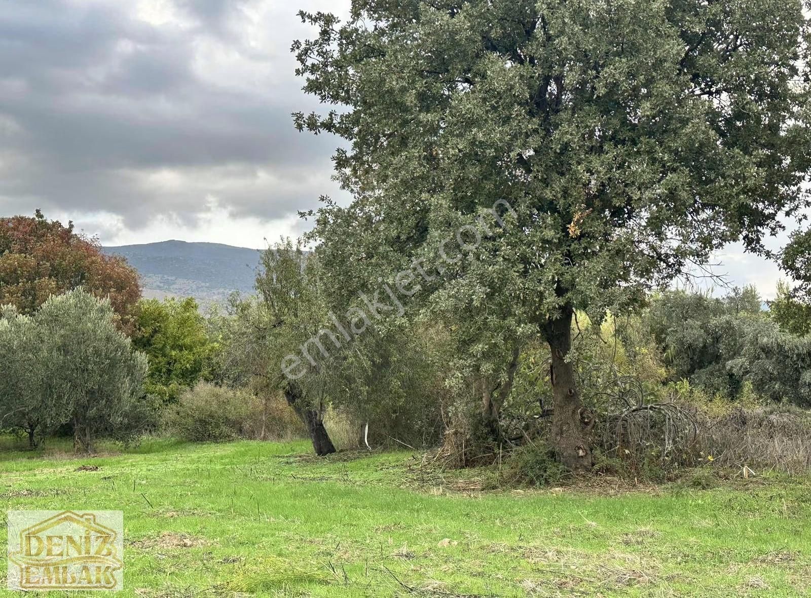 İhtiyaçtan Acil Satılık 134m2 Tarla. Menemen Haykıran - Görsel 3