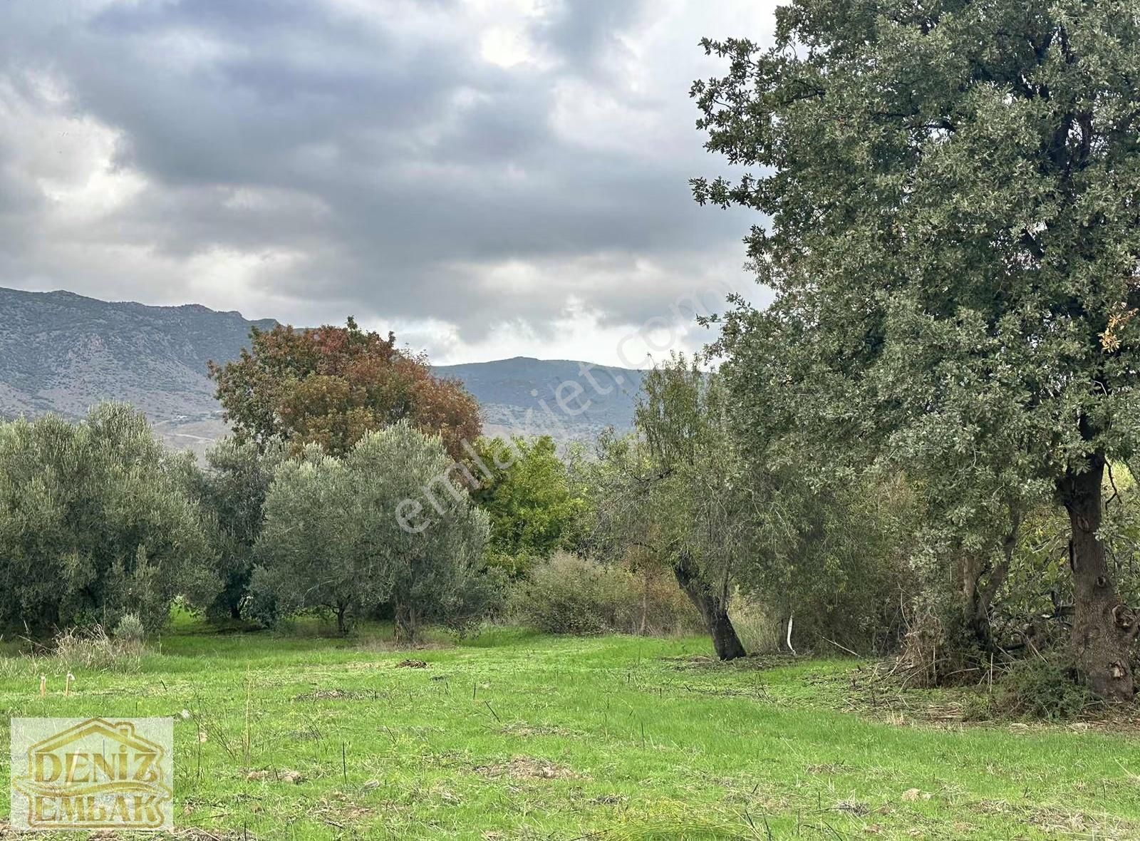 İhtiyaçtan Acil Satılık 134m2 Tarla. Menemen Haykıran - Görsel 4