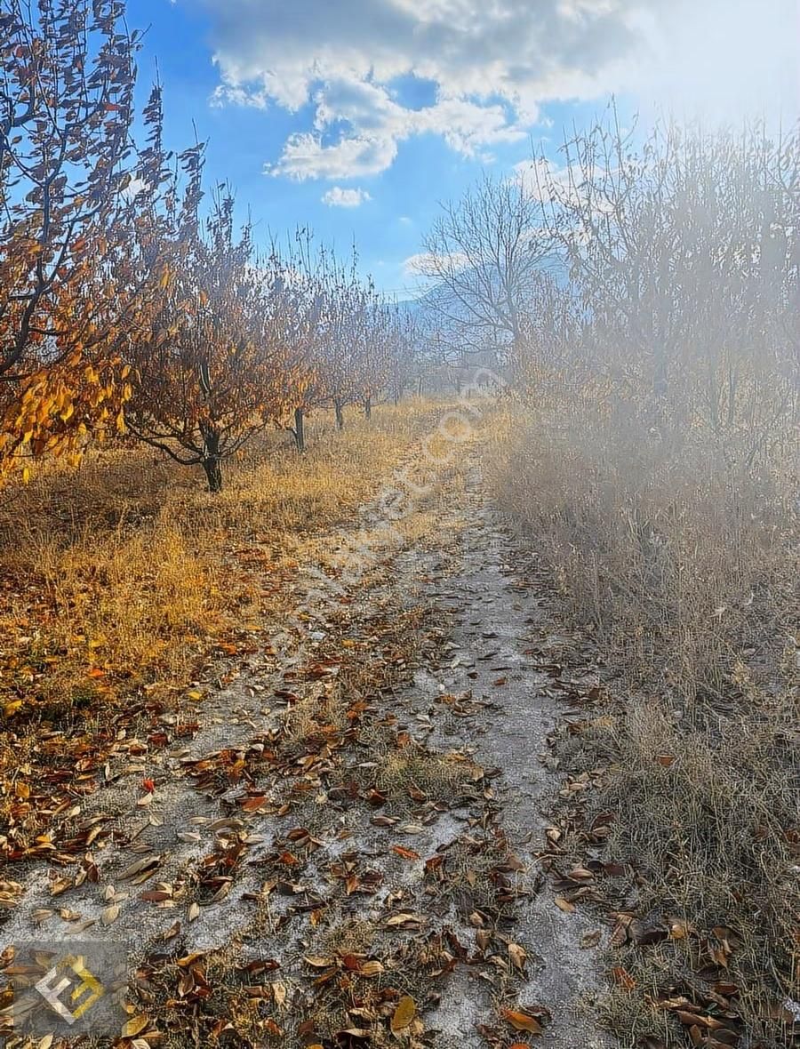 Furkan Emlak Yeşilevler Mah.kavakdibi Mevki Verimli 4833m² Tarla - Görsel 5