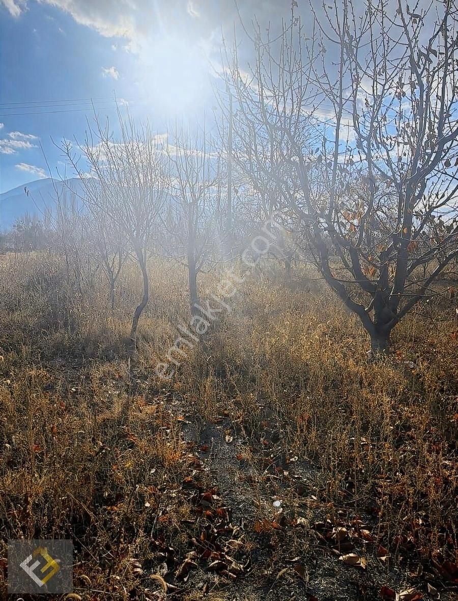 Furkan Emlak Yeşilevler Mah.kavakdibi Mevki Verimli 4833m² Tarla - Görsel 11