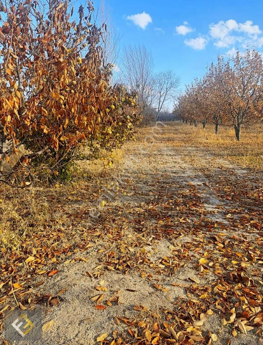 Furkan Emlak Yeşilevler Mah.kavakdibi Mevki Verimli 4833m² Tarla - Görsel 9