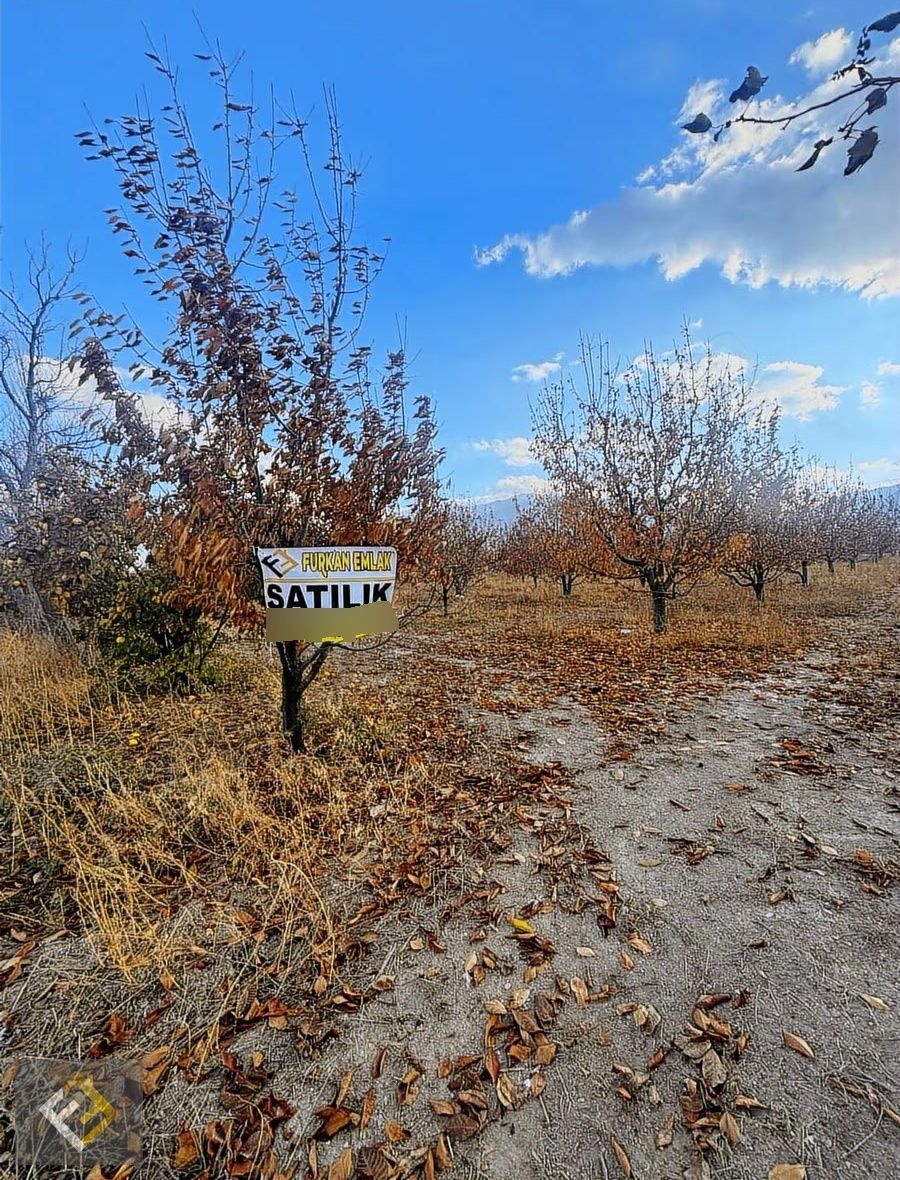 Furkan Emlak Yeşilevler Mah.kavakdibi Mevki Verimli 4833m² Tarla - Görsel 10