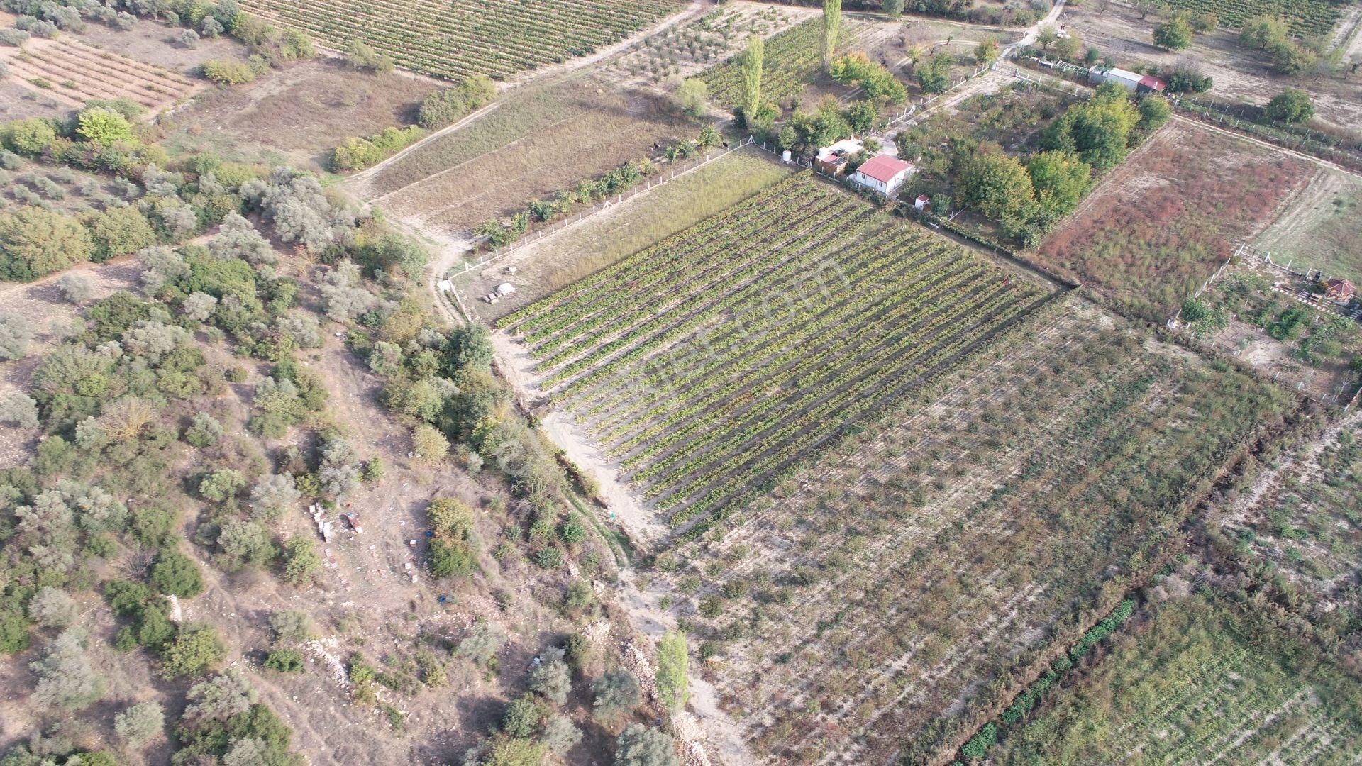 Satılık Tarla Kirazlı Köyü - Görsel 6